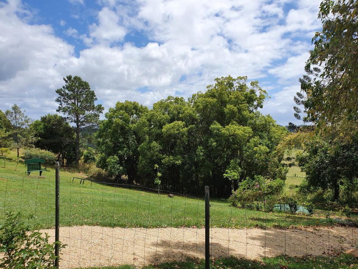 Tropical Coast Retreat - Pet Friendly - Adult Only Pensionat Kingscliff Eksteriør billede