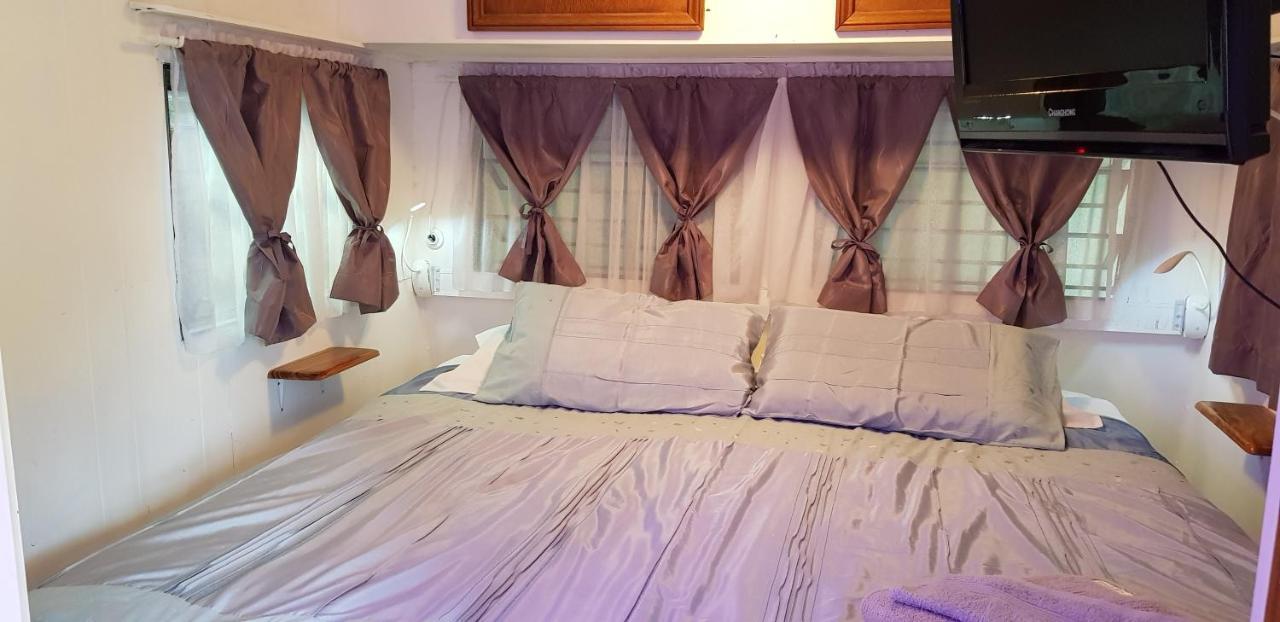 Tropical Coast Retreat - Pet Friendly - Adult Only Pensionat Kingscliff Værelse billede